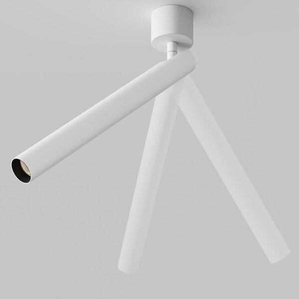 Stropní svítidlo Focus T 6W 36d C141CL-L300-6W3K-W - MAYTONI