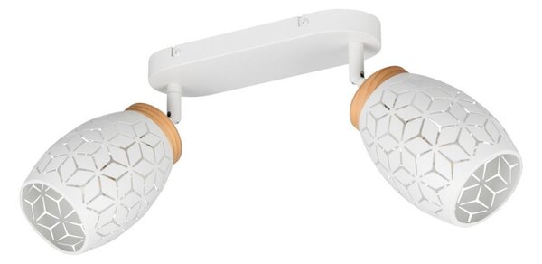 Trio TR81572031 bodové stropní svítidlo BIDAR E14