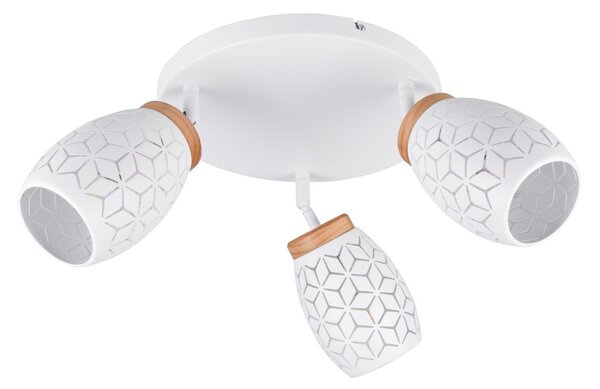 Trio TR61573331 bodové stropní svítidlo BIDAR E14