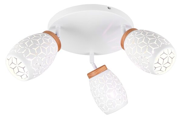 Trio TR61573331 bodové stropní svítidlo BIDAR E14