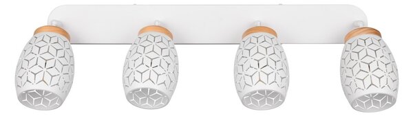 Trio TR81574031 bodové stropní svítidlo BIDAR E14