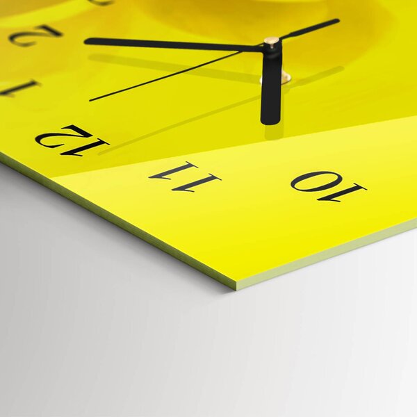 Skleněné hodiny horizontální Květ zsppc-60x30-00295315