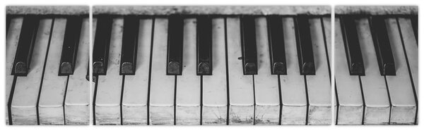 Obraz - Piano (170x50 cm)