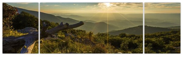 Obraz - Výhled do okolí (170x50 cm)