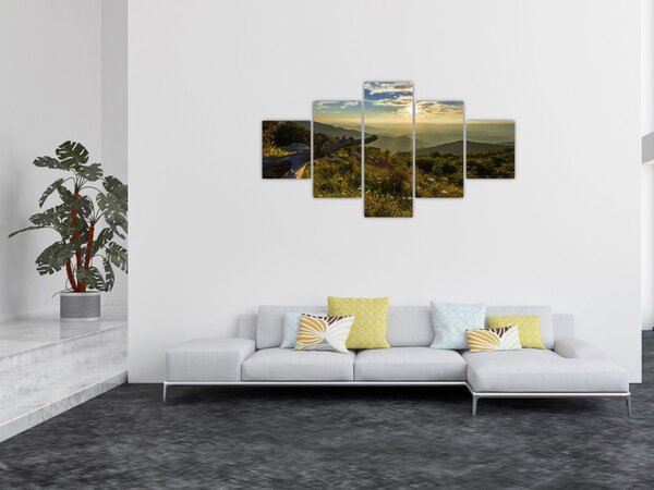 Obraz - Výhled do okolí (125x70 cm)