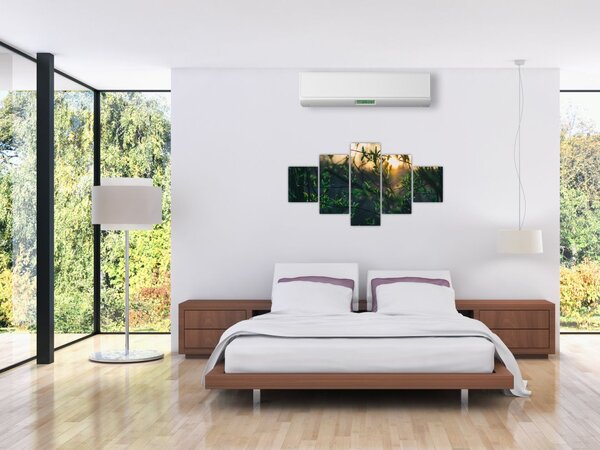 Obraz prosvítajícího slunce skrz větvičky stromů (125x70 cm)