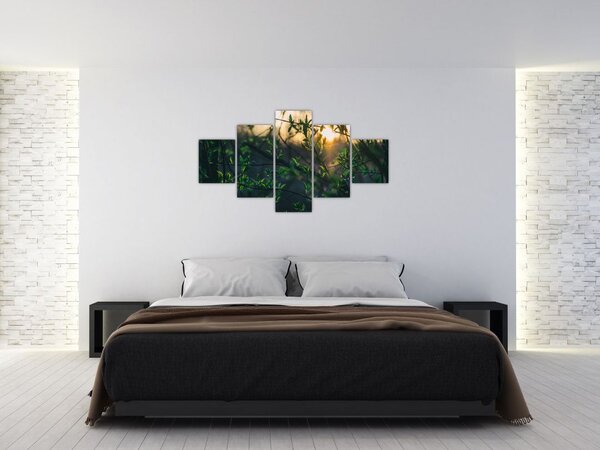 Obraz prosvítajícího slunce skrz větvičky stromů (125x70 cm)