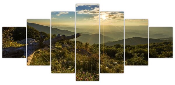 Obraz - Výhled do okolí (210x100 cm)