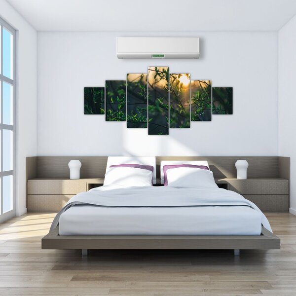 Obraz prosvítajícího slunce skrz větvičky stromů (210x100 cm)