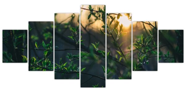 Obraz prosvítajícího slunce skrz větvičky stromů (210x100 cm)
