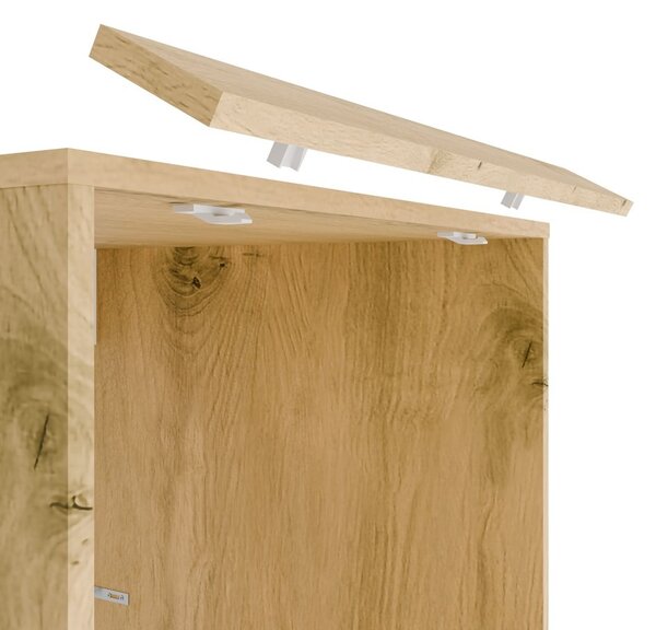 TP Living Koupelnová skříňka na pračku POLA 2S 64 cm dub Artisan
