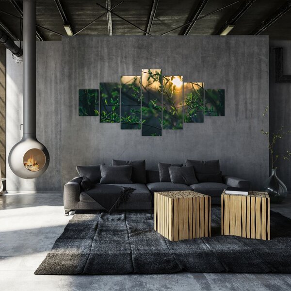 Obraz prosvítajícího slunce skrz větvičky stromů (210x100 cm)