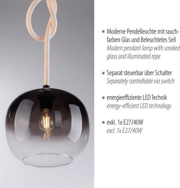 Paul Neuhaus Závěsné LED svítidlo LUMA, 15W, ø 30 cm, nastavitelná výška