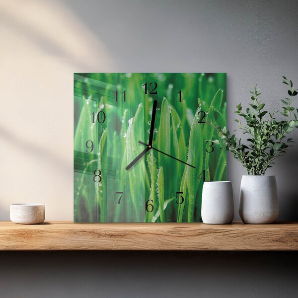Skleněné hodiny na stěnu Zelená tráva zskc-30x30-00182428