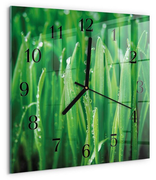 Skleněné hodiny na stěnu Zelená tráva zskc-30x30-00182428