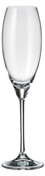 BOHEMIA CARDUELIS SKLENICE NA ŠAMPAŇSKÉ 290ML SADA 6 KS