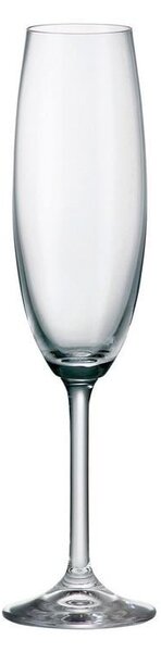 BOHEMIA COLIBRI SKLENICE NA ŠAMPAŇSKÉ 220ML SADA 6KS