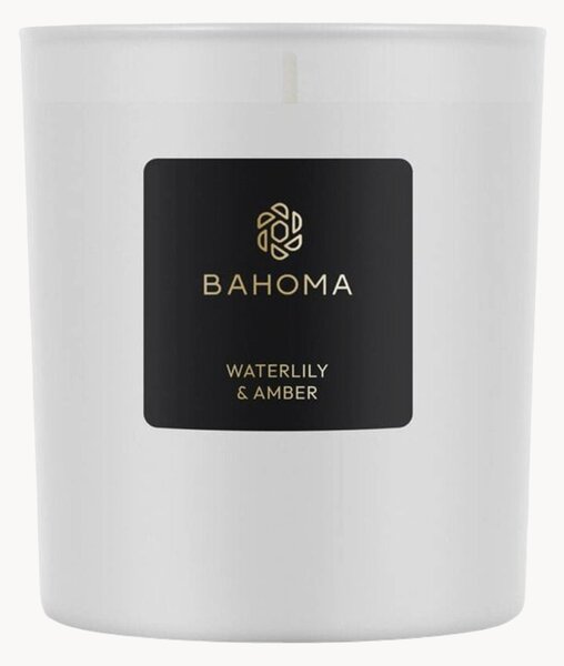 Vonná svíčka Waterlily & Amber (bergamot, vodní zelené tóny, čerstvá hruška)