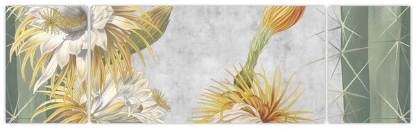 Obraz - Rozkvetlé kaktusy (170x50 cm)
