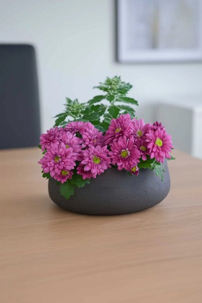 Dekorační mísa PERA, sklolaminát, průměr 27 cm, antracit