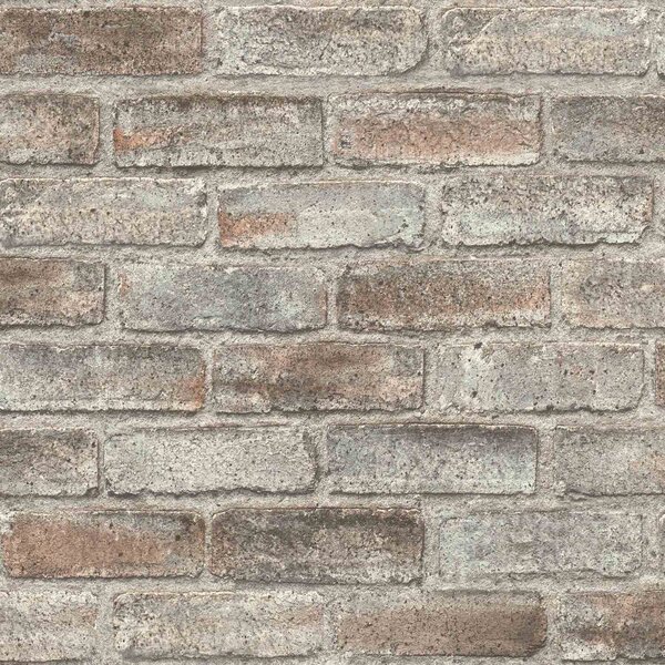 RASCH | Vliesová tapeta na zeď Timeless Selection 869002 | 0,53 x 10,05 m | šedá