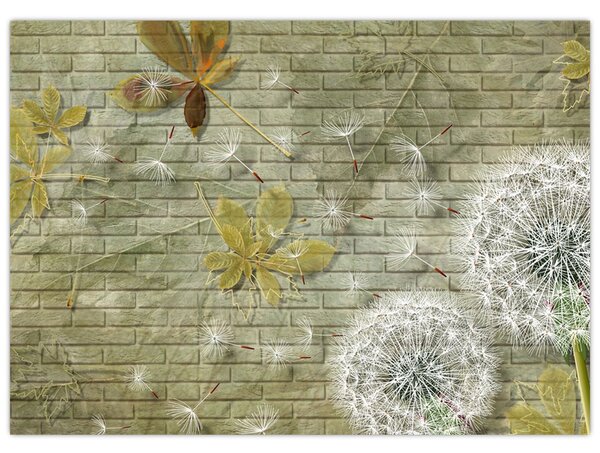 Obraz - Pampelišky unášené větrem (70x50 cm)