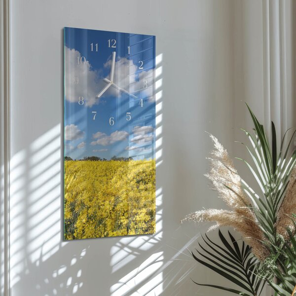 Skleněné hodiny vertikální Pole zsppb-30x60-00082311