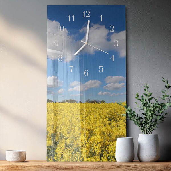 Skleněné hodiny vertikální Pole zsppb-30x60-00082311