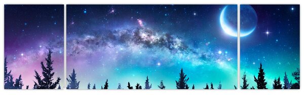 Obraz - Mléčná dráha (170x50 cm)