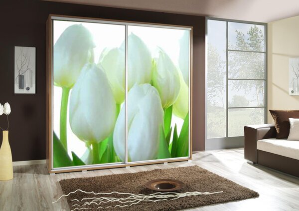 Šatní skříň Penelopa 2 Tulipány Barva korpusu: Dub - sonoma, Rozměry: 205 cm