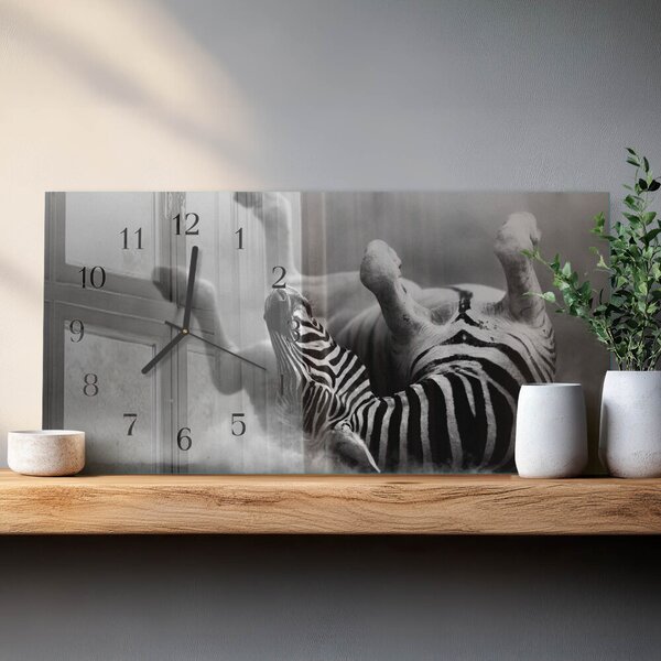 Skleněné hodiny horizontální Žebra zsppc-60x30-00295327