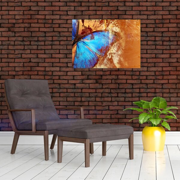 Obraz - Modrý motýl (70x50 cm)
