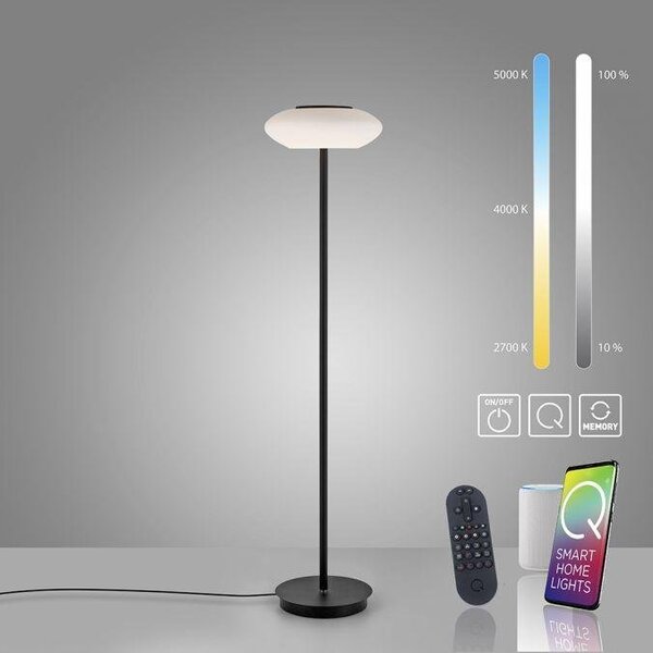 Paul Neuhaus Stojací LED lampa Q-ETIENNE 27,5W, v. 152 cm, Smart Home, CCT 2700-5000K Barva: Černá
