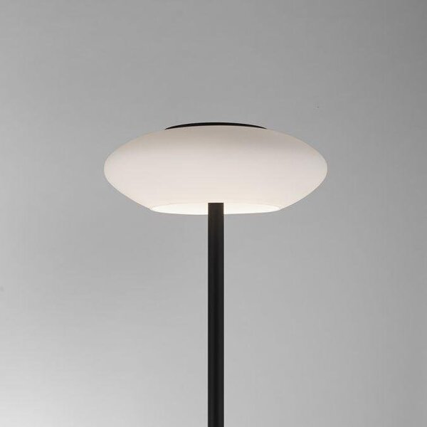 Paul Neuhaus Stojací LED lampa Q-ETIENNE 27,5W, v. 152 cm, Smart Home, CCT 2700-5000K Barva: Černá