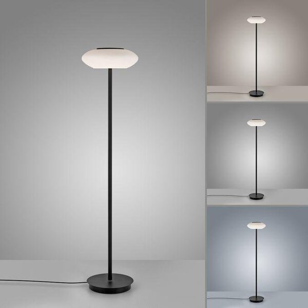 Paul Neuhaus Stojací LED lampa Q-ETIENNE 27,5W, v. 152 cm, Smart Home, CCT 2700-5000K Barva: Černá