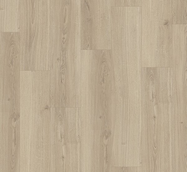 PARADOR Basic 600 Dub studioline pure natural jemně matná struktura 1748187 - 2.19 m2