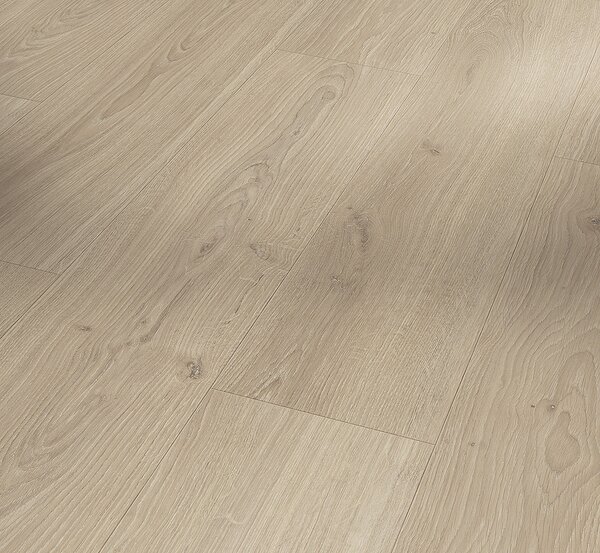 PARADOR Basic 600 Dub studioline pure natural jemně matná struktura 1748187 - 2.19 m2