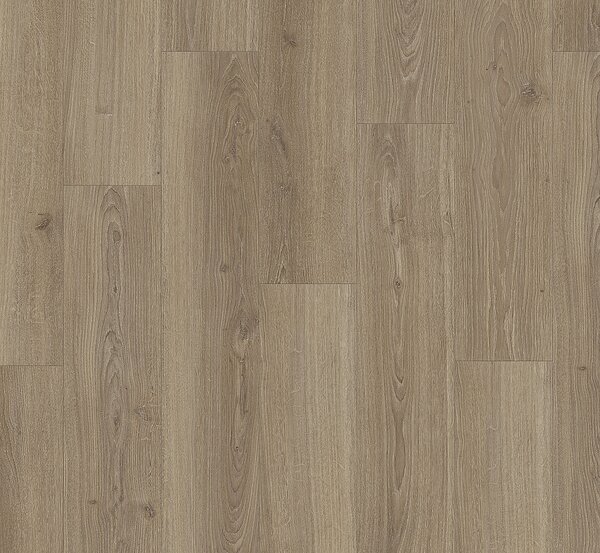 PARADOR Basic 600 Dub studioline macchiato natural jemně matná struktura 1748186 - 2.19 m2