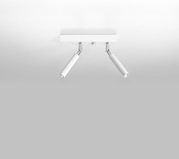 Bodové svítidlo Eyetech, 2x bílé kovové stínítko, (možnost polohování)
