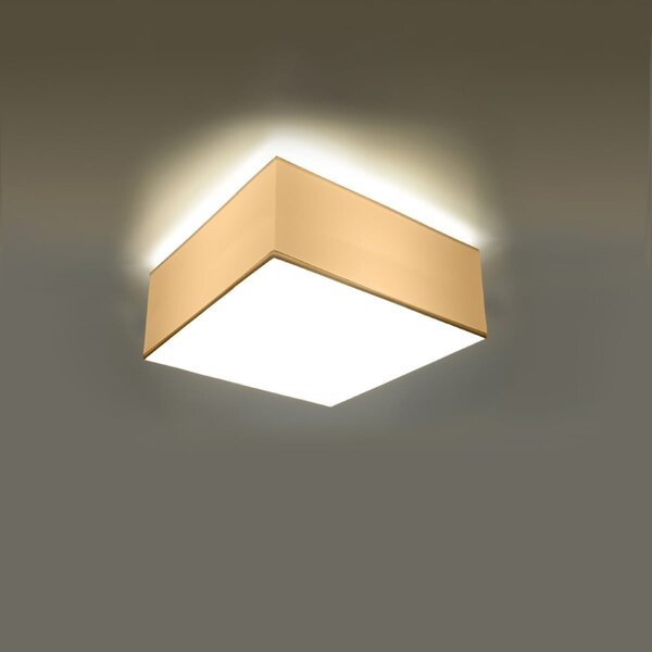 Stropní svítidlo Horus, 1x bílé plastové stínítko, (bílý plast), (25 cm)