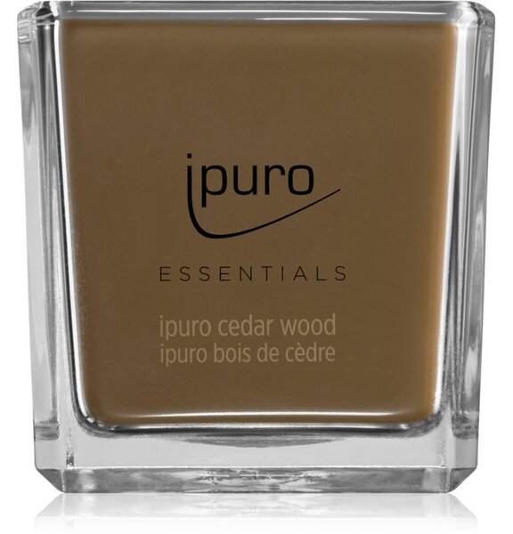 Ipuro Essentials Cedar Wood vonná svíčka 125 g