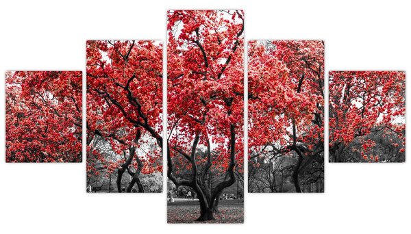Obraz - Červené stromy, Central Park, New York (125x70 cm)