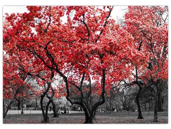Obraz - Červené stromy, Central Park, New York (70x50 cm)