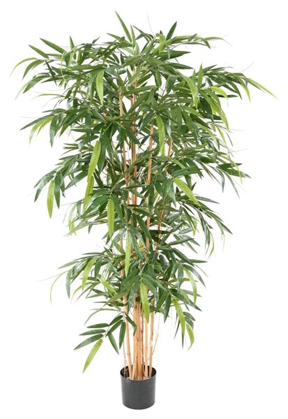 Umělý Bambus strom - přírodní kmeny UV ochrana, 180cm