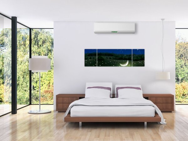 Obraz - Padající nebe (170x50 cm)