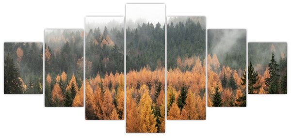 Obraz - Podzimní les (210x100 cm)