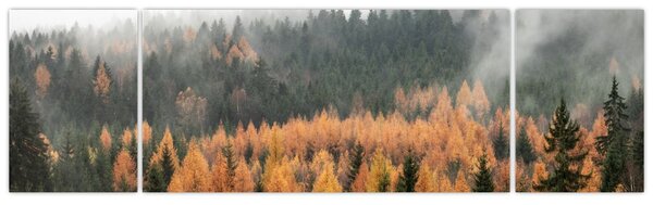Obraz - Podzimní les (170x50 cm)