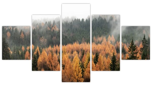 Obraz - Podzimní les (125x70 cm)
