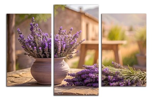 Obraz na plátně Levandulová zahrada