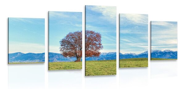 5-dílný obraz panorama hor
